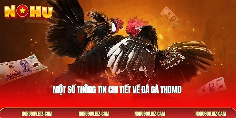 Một số thông tin chi tiết về đá gà Thomo 